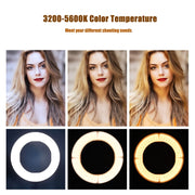 MANTOO RL-12 II 100-240V 28W 12 inch Two-color Dimmable Ring Fill Light with Tripod