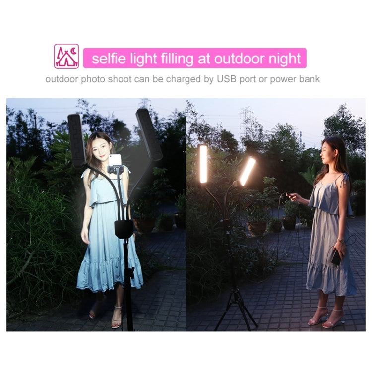 RK39 Portable Tri-color Adjustable Brightness Double Arms Fill Light with Phone Clip(Black)