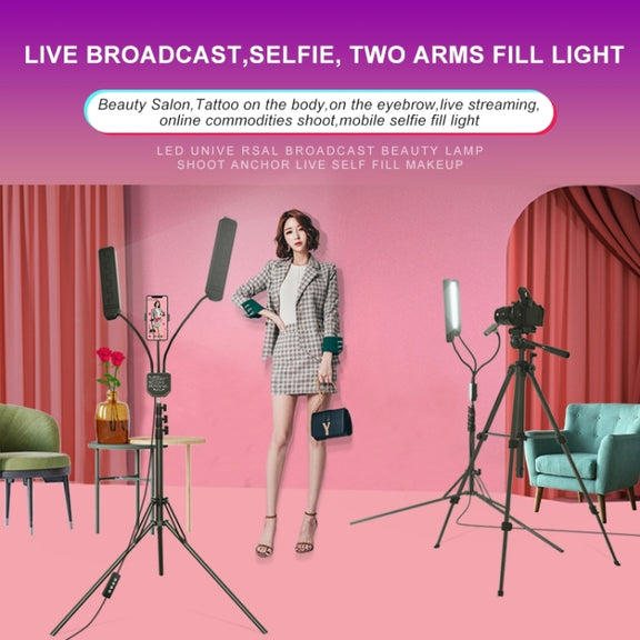 RK39 Portable Tri-color Adjustable Brightness Double Arms Fill Light with Phone Clip(Black)