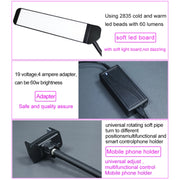 RK39 Portable Tri-color Adjustable Brightness Double Arms Fill Light with Phone Clip(Black)