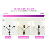 RK39 Portable Tri-color Adjustable Brightness Double Arms Fill Light with Phone Clip(Black)