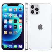 For iPhone 12 Pro Max Color Screen Non-Working Fake Dummy Display Model(Silver)