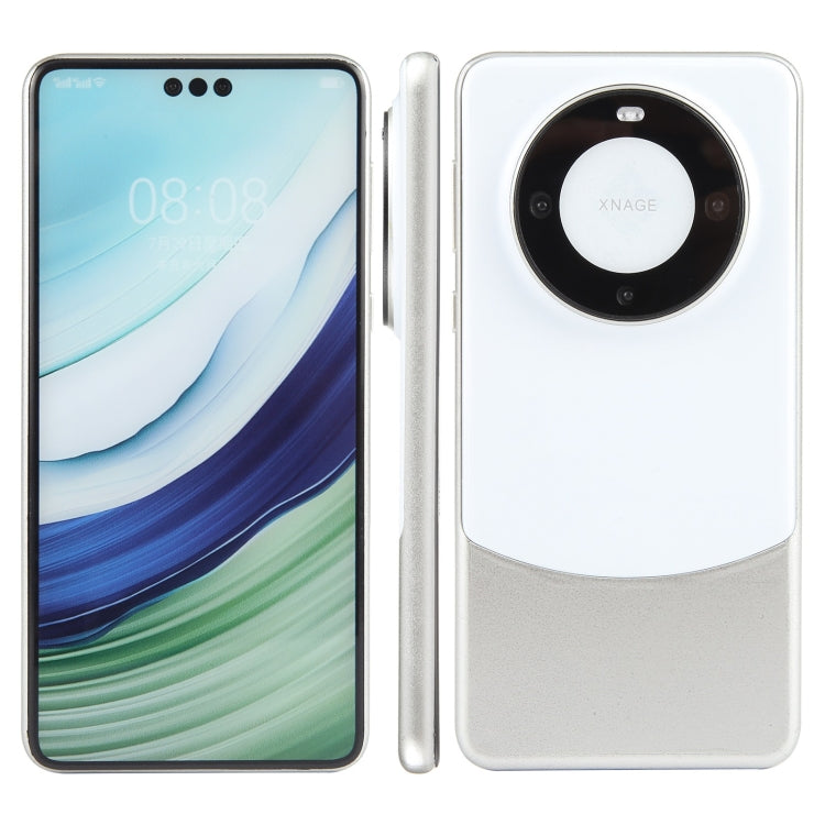 For Huawei Mate 60 Pro Color Screen Non-Working Fake Dummy Display Model (Silver)