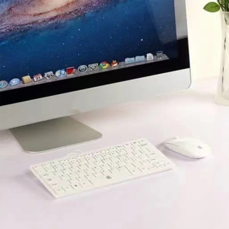 For Apple iMac 27 inch Color Screen Non-Working Fake Dummy Display Model (Silver)