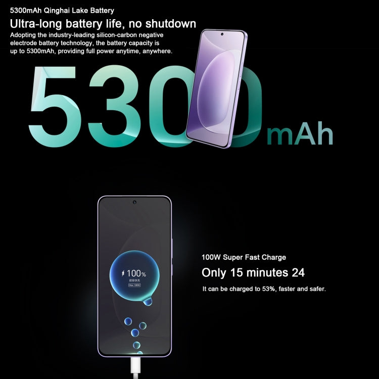 Honor 300, 12GB+256GB, Screen Fingerprint, 6.7 inch MagicOS 9.0 / Android 15 Snapdragon 7 Gen 3 Octa Core, Network: 5G, NFC, OTG, Support Google Play (Grey)