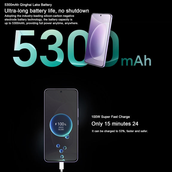 Honor 300, 12GB+256GB, Screen Fingerprint, 6.7 inch MagicOS 9.0 / Android 15 Snapdragon 7 Gen 3 Octa Core, Network: 5G, NFC, OTG, Support Google Play (Grey)