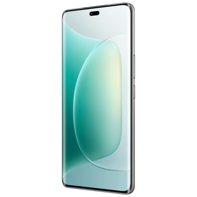 Honor 300 Pro, 12GB+256GB, Screen Fingerprint, 6.78 inch MagicOS 9.0 / Android 15 Snapdragon 8 Gen 3 Octa Core, Network: 5G, NFC, OTG, Support Google Play (Black)