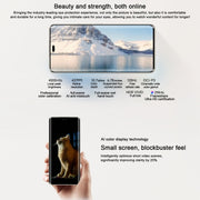 Honor 300 Pro, 12GB+256GB, Screen Fingerprint, 6.78 inch MagicOS 9.0 / Android 15 Snapdragon 8 Gen 3 Octa Core, Network: 5G, NFC, OTG, Support Google Play (Black)