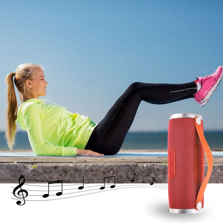 T&G TG109 Portable Wireless Bluetooth V4.2 Stereo Speaker with Handle, Built-in MIC, Support Hands-free Calls & TF Card & AUX IN & FM(Red)