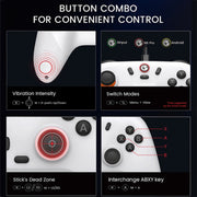 GameSir Nova Lite PC T4N Lite Bluetooth Wireless Gamepad Game Controller for Nintendo Switch (Dark Purple)