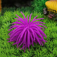 Aquarium Articles Decoration TPR Simulation Sea Urchin Ball Coral, Size: L, Diameter: 13cm(Purple) - free shipping - PMc TechLife - Order now!