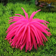 Aquarium Articles Decoration TPR Simulation Sea Urchin Ball Coral, Size: S, Diameter: 7cm(Pink) - free shipping - PMc TechLife - Order now!
