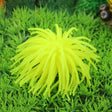 Aquarium Articles Decoration TPR Simulation Sea Urchin Ball Coral, Size: S, Diameter: 7cm(Yellow) - Fish Tank Decoration by PMc TechLife | Online Shopping South Africa | PMc TechLife | Buy Now Pay Later Mobicred