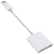 TY105TC USB-C / Type-C to SD Card Reader Adapter - Card Reader by PMC TechLife | Online Shopping South Africa | PMC TechLife | Buy Now Pay Later Mobicred