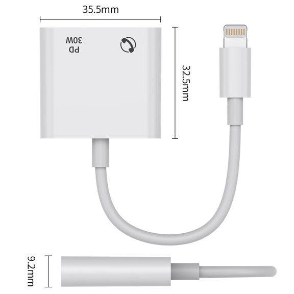 R-PCB-P1 30W 8 Pin to Type-C + 3.5mm Charging & Audio Converter