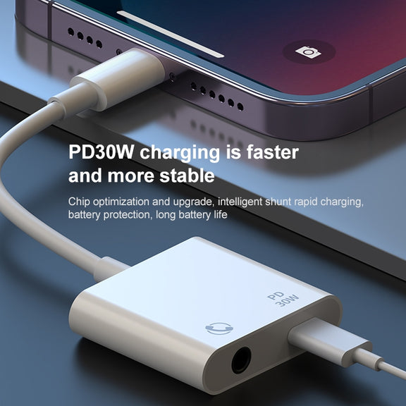R-PCB-P1 30W 8 Pin to Type-C + 3.5mm Charging & Audio Converter