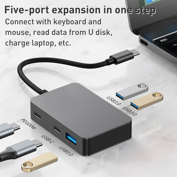 BYL-2316 5 in 1 USB-C / Type-C to USB3.0 & Type-C Multifunctional Docking Station HUB Adapter (Dark Grey)