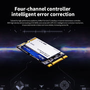 Netac N930ES 256GB M.2 2242 PCIe Gen3x2 Solid State Drive