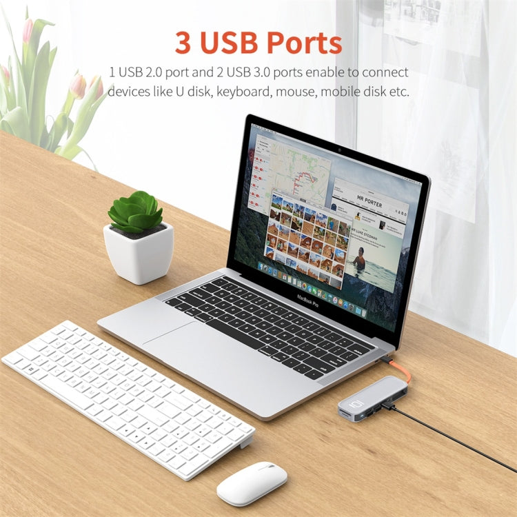ROCK TR01 10 In 1 Type-C / USB-C to HDMI + VGA Multifunctional Extension HUB Adapter(Silver)