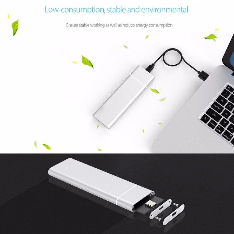 M.2 NGFF to USB-C / Type-C USB 3.1 Interface Aluminum Alloy SSD Enclosure(Black)