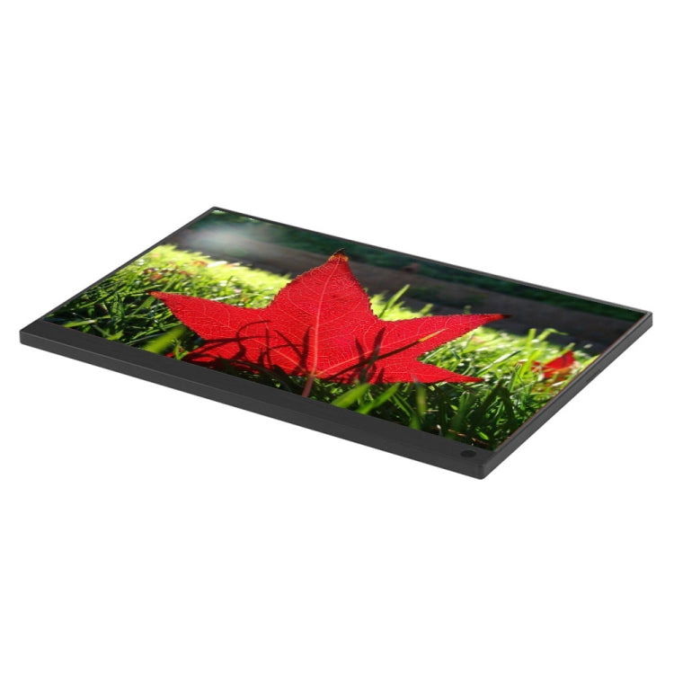 15.6 inch 1080P 178 Degree Wide Angle HD Portable IPS LED Display Monitor