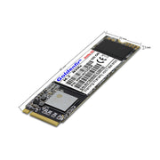 Goldenfir 2.5 inch M.2 NVMe Solid State Drive, Capacity: 120GB