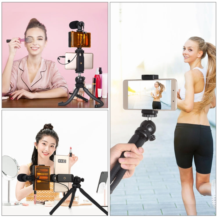 PULUZ  4 in 1 Vlogging Live Mini Octopus Bracket Kit + Studio Light + Microphone + Phone Clamp Kits(Black)