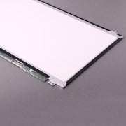 PLP4105_3.jpg@81d331ad0c529d67c626f1e00fb16227
