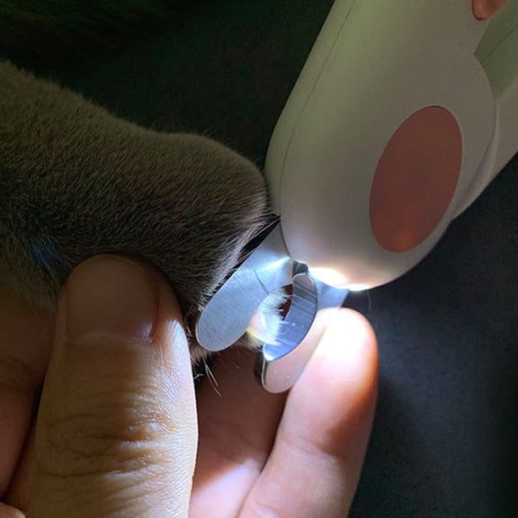 Pet Cat and Dog LED Light Nail Clippers (Blue)