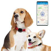 RF-V43 B Style IP67 Water-resistant GPS + LBS + WiFi Pet Locator Pet Collar Tracking Device For North America/South America(Black)