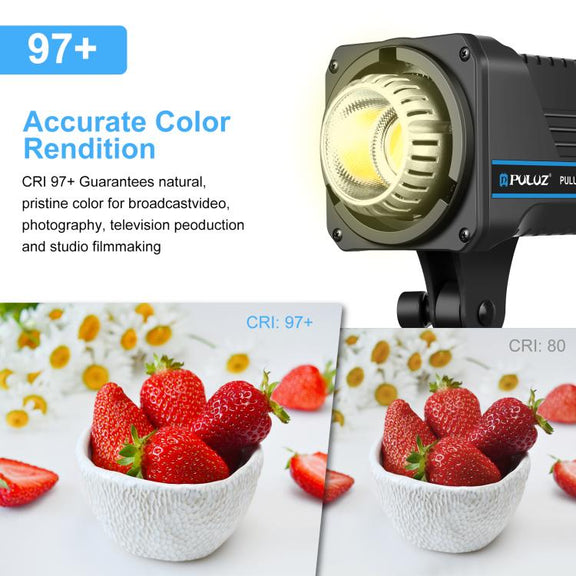 PULUZ 220V 120W Studio Video Light Dual Color Temperature Built-in Dissipate Heat System with Remote Control(US Plug)