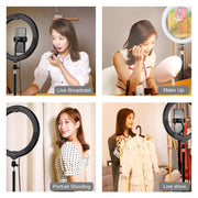 PULUZ 10.2 inch 26cm USB 3 Modes Dimmable Dual Color Temperature LED Curved Diffuse Light Ring Vlogging Selfie Photography Video Lights with Phone Clamp(Black)