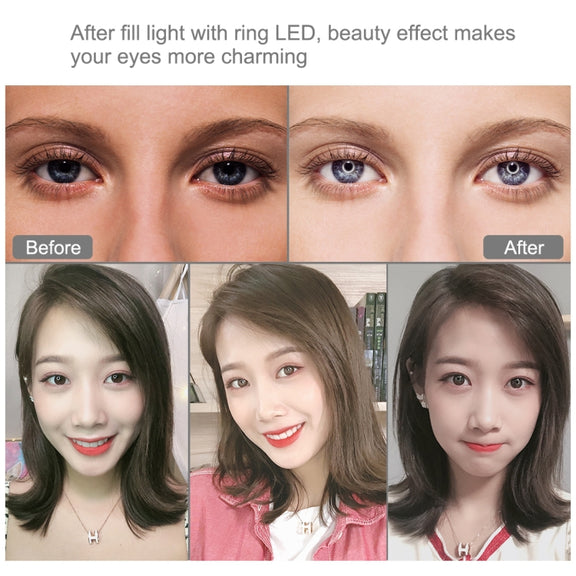PULUZ 11.8 inch 30cm USB 3 Modes Dimmable Dual Color Temperature LED Curved Diffuse Light Ring Vlogging Selfie Photography Video Lights with Phone Clamp(Black)