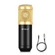 PULUZ Condenser Microphone Studio Broadcast Professional Singing Microphone (Gold) - Microphone by PULUZ | Online Shopping South Africa | PMC TechLife | Buy Now Pay Later Mobicred