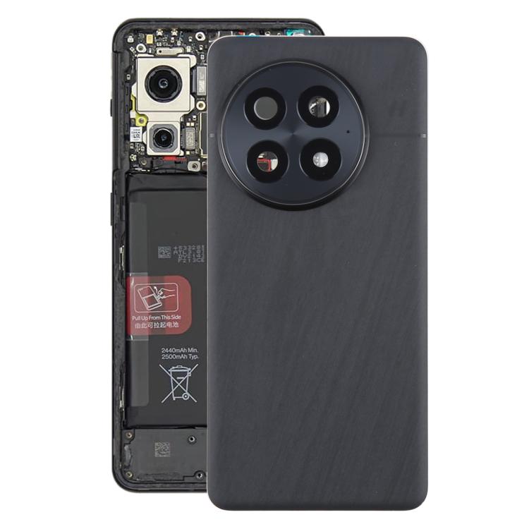 For OnePlus 13 CPH2655 CPH2653 PJZ110 Original Glass Battery Back Cover with Camera Lens(Matte Black)