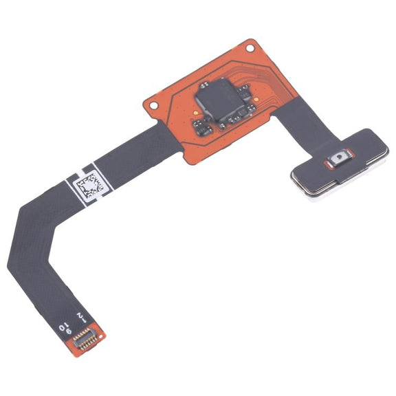 RPS0982_1.jpg@4d87e865256247fe19ac70166c7b6aea