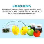 DIY Novel Green Science Potato Digital Clock Educational Kit with 2 inch LCD Screen (Potato NOT Included)(White)