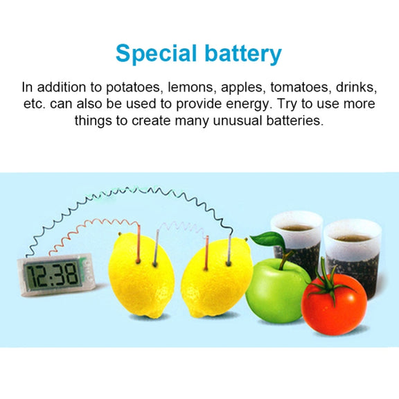 DIY Novel Green Science Potato Digital Clock Educational Kit with 2 inch LCD Screen (Potato NOT Included)(White)