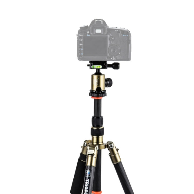 Triopo GT-2505x8.C Adjustable Portable Carbon Fiber Tripod (Gold) with B-1 Aluminum Ball Head (Black) for Canon Nikon Sony DSLR Camera