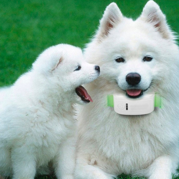 KH-909 Universal IPX6 Water-resistant GPS Tracker for Pet / Kid / the Aged (White + Blue)