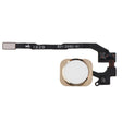 Home Key Button with PCB Membrane Flex Cable for iPhone 5S , No Fingerprint Identification Function(Gold) - iPhone 5 Parts by PMc TechLife | Online Shopping South Africa | PMc TechLife | Buy Now Pay Later Mobicred