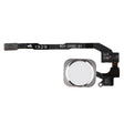 Home Key Button with PCB Membrane Flex Cable for iPhone 5S , No Fingerprint Identification Function(Silver) - iPhone 5 Parts by PMC TechLife | Online Shopping South Africa | PMC TechLife | Buy Now Pay Later Mobicred