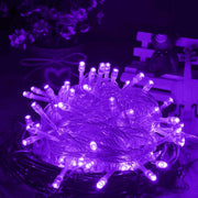Water-resistant  String Light, Length: 10m, 100 LED, Flashing / Fading / Chasing Effect, with Controller, AC 220V, EU Plug(Purple Light)