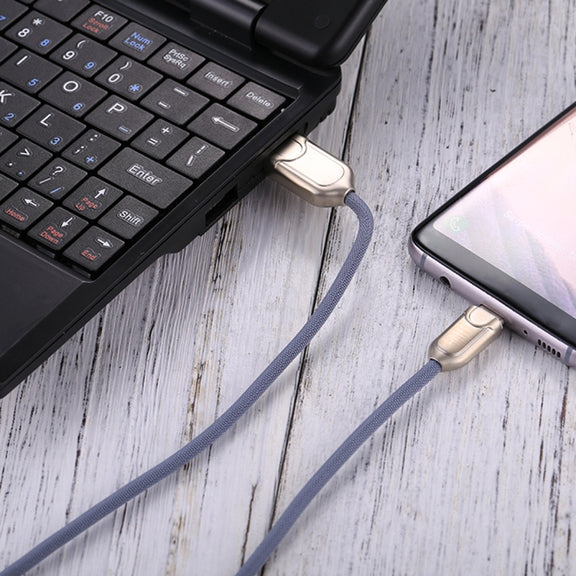 1m 2A USB-C / Type-C to USB 2.0 Data Sync Quick Charger Cable(Blue)