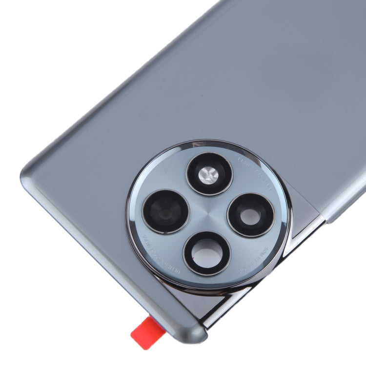 For OnePlus Ace 2 Pro PJA110 Original Glass Battery Back Cover with Camera Lens(Grey)