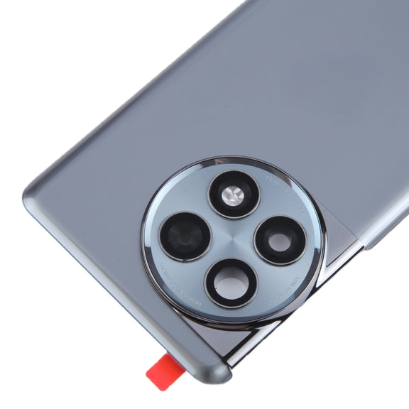 For OnePlus Ace 2 Pro PJA110 Original Glass Battery Back Cover with Camera Lens(Grey)