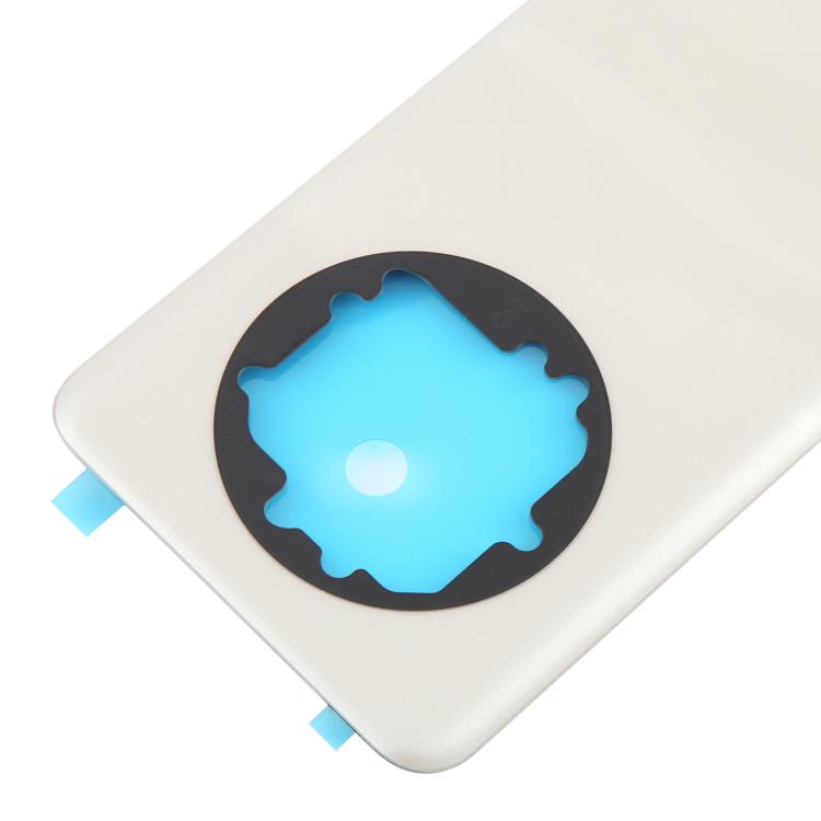For Realme 13 Pro+ Back Cover(Gold)