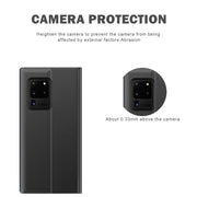 For Samsung Galaxy Note20 Plain Texture Cloth Attraction Flip Holder Leather Phone Case(Silver)