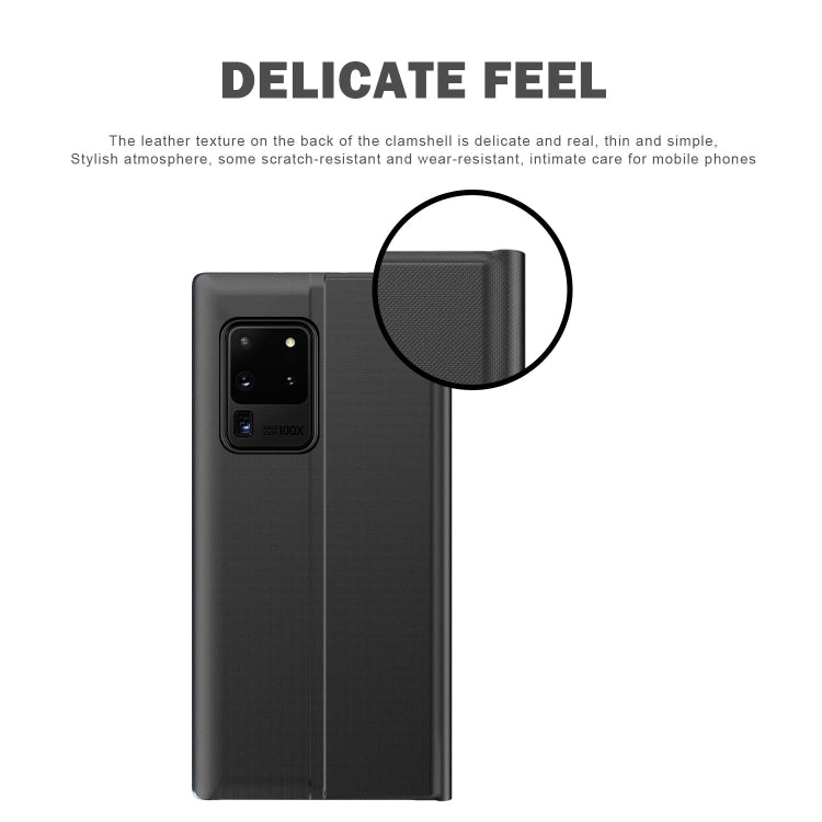 For Samsung Galaxy Note20 Plain Texture Cloth Attraction Flip Holder Leather Phone Case(Silver)