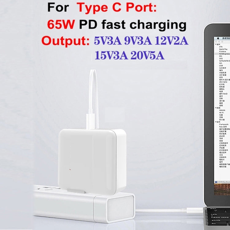 GaN 100W Dual USB + Dual USB-C/Type-C Multi Port Charger with 2m Type-C to Type-C Data Cable Set US Plug